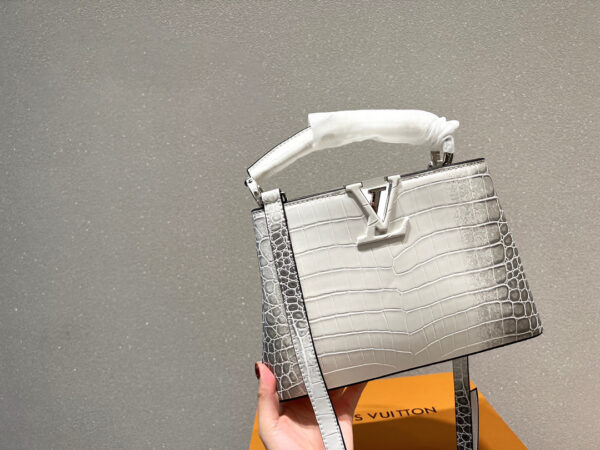 LOUIS VUITTON CAPUCINES BB SILVER 27CM N98177 - Image 6