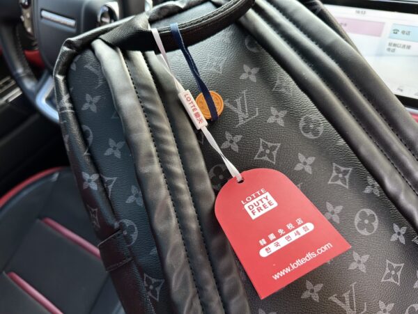 LOUIS VUITTON APOLLO BLACK TAIGA BACKPACK 40CM - Image 4