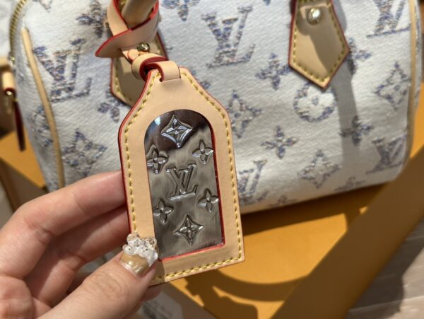 LOUIS VUITTON SPEEDY BANDOULIÈRE 20 MULTICOLOR BEIGE 20CM M24709 - Image 6