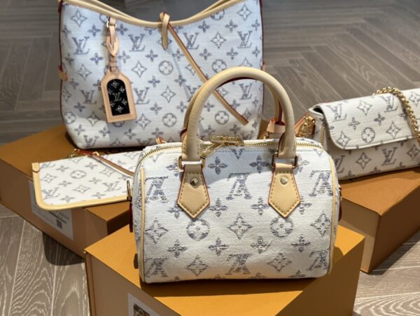 LOUIS VUITTON SPEEDY BANDOULIÈRE 20 MULTICOLOR BEIGE 20CM M24709 - Image 5