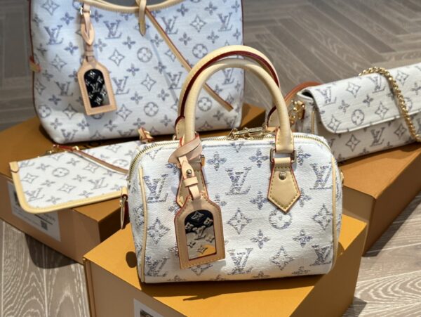 LOUIS VUITTON SPEEDY BANDOULIÈRE 20 MULTICOLOR BEIGE 20CM M24709 - Image 2