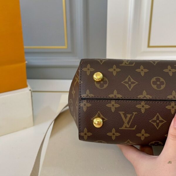 LOUIS VUITTON CLUNY BAG VIVIENNE RABBIT MONOGRAM BROWN 29CM - Image 4